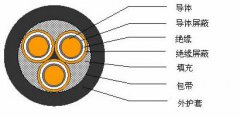 3*2.5，3*3，3*4，3*6，3*10，3*16，3*25屏蔽電纜結構圖